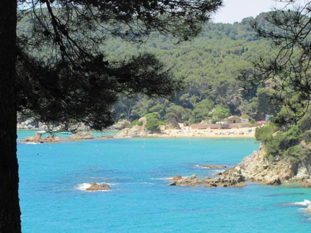 Sunny Apartment Sa Boadella Big Solarium Sea View Lloret de Mar Buitenkant foto